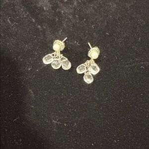 Elegant Silver Drop Earrings EUC